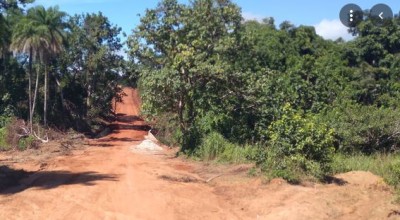 Côte d'Ivoire : Des individus armés essaient de s'installer dans une forêt à Ouaninou ? Voilà ce que révèle une note du préfet de département