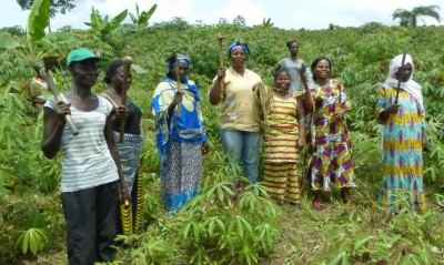Côte d'Ivoire : La FAO annonce des projets pour les coopératives et les petits exploitants agricoles