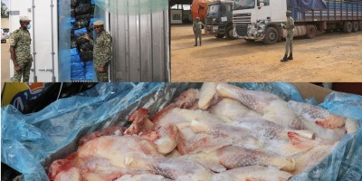 Côte d'Ivoire :   Adzopé, 3.678 cartons de poulets congelés d'environ 37 tonnes saisis par les Douanes Ivoiriennes