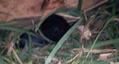 Côte d'Ivoire : Oumé, voulant éviter un grumier, un jeune écrasé par une bille de bois détachée du camion