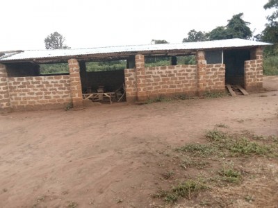 Côte d'Ivoire :    Malgré la construction de milliers de salles de classes, les élèves de l'EPP Michel Carrefour de Vavoua confinés dans des apatams de fortune et à même le sol