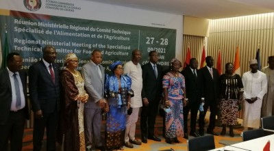 Côte d'Ivoire : Sidi Tiémoko Touré annonce que la grippe aviaire menace plus de 50 mille emplois directs et 250 milliards de FCFA de chiffre d'affaires