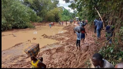 Côte d'Ivoire : Grande « oubliée » la zone de Taï, forte de ses richesses, enclavée et coupée du reste du Pays, dans l'antre du calvaire des populations