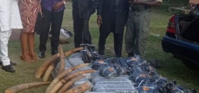 Cameroun : Gros coup de filet dans le milieu du braconnage