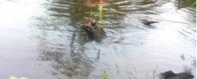 Côte d'Ivoire : Sud-Comoé, un corps sans vie repêché dans un cours d'eau