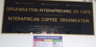 Côte d'Ivoire :     OIAC, la création d'un fonds de développement du café africain en préparation