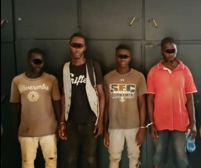 Côte d'Ivoire : Des individus suspectés de convoyer le cacao illégalement vers la Guinée interpellés