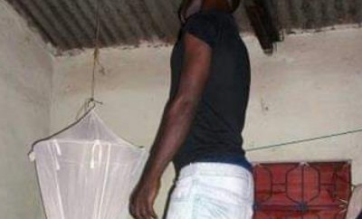 Côte d'Ivoire : Abobo, un jeune de 28 ans met fin à sa vie par pendaison à cause d'un singe