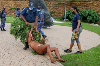 Afrique du Sud : Le roi qui avait planté du cannabis devant la présidence relâché
