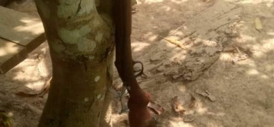 Côte d'Ivoire : Adzopé, un instituteur, se tire une balle dans la tête à l'aide d'un fusil de chasse