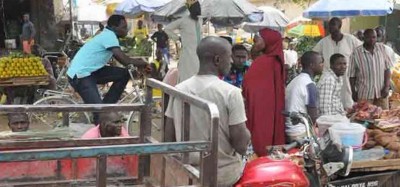 Nigeria-Cameroun :  Démenti d'une invasion de forces camerounaises à Adamawa