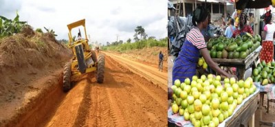 Côte d'Ivoire :   Réhabilitation de 525,1 km de pistes rurales et 8 centres de santé dans le District des Montagnes, le PNDC satisfait de l'avancement du PRPC-DC