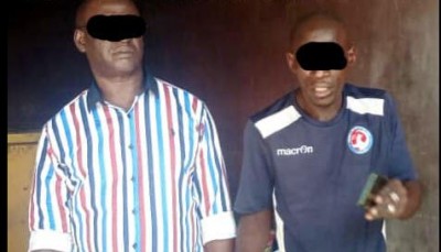 Côte d'Ivoire : Deux présumés trafiquants d'écailles de Pangolins interpellés