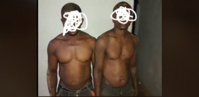 Côte d'Ivoire : Six mois d'emprisonnement ferme et 1, 2 million FCFA d'amende pour un présumé fossoyeur de la  forêt