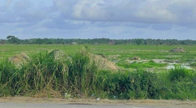 Côte d'Ivoire : Yaou, pour des querelles sur une parcelle de terre, des loubards battent à mort un jeune, un propriétaire terrien cité