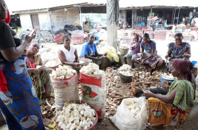 Côte d'Ivoire : Campagne Ensemble sauvons notre manioc, les producteurs ivoiriens formés