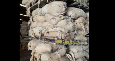 Côte d'Ivoire :    Le Gouvernement proroge d'un an le bénéfice du DUS différencié par type de produits semi-finis issus de la transformation du cacao