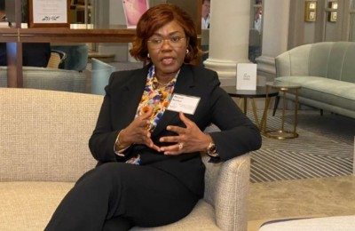 Côte d'Ivoire :    Depuis l'Égypte, Nialé Kaba sollicite la BID et les partenaires financiers pour le financement du PND 2021-2025