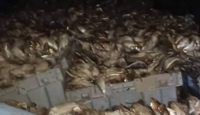 Burkina Faso : Saisie record de 27 tonnes de poissons avariés à Bobo-Dioulasso