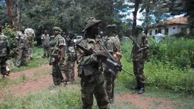 Cameroun : Vina, un homme armé sème la terreur déjà 7 morts dont une fillette de 6 ans