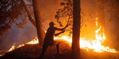 Algérie : Deux morts dans des feux de forêt dans le nord