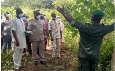 Côte d'Ivoire : Refusant de  déguerpir la forêt classée de Tankessé, les occupants illégaux ne bénéficieront  pas du projet d'électrification initié par l'Etat
