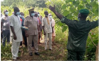 Côte d'Ivoire : Refusant de  déguerpir la forêt classée de Tankessé, les occupants illégaux ne bénéficieront  pas du projet d'électrification initié par l'Etat
