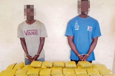 Burkina Faso : Deux individus interpellés avec vingt kilos de chanvre indien à Ouahigouya