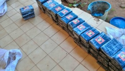 Burkina Faso : Une importante quantité de cocaïne, estimée à plus de 22 milliards, saisie à Manga
