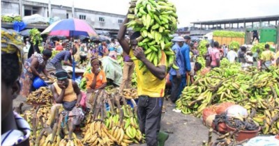 Côte d'Ivoire : Le Conseil national de la lutte contre la vie chère « constate »  la baisse des prix de certains produits sur le marché