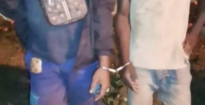 Côte d'Ivoire : Plus d'une dizaine de clandestins interpellés dans les forêts classées de Hien et N'Zodji