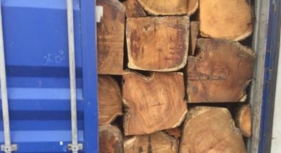 Côte d'Ivoire : Le Gouvernement fixe les conditions d'obtention de l'agrément en qualité d'exploitant forestier