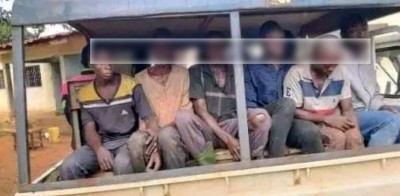 Côte d'Ivoire : Destruction de la forêt classée du Cavally, 12 clandestins écopent de 4 mois de prison ferme
