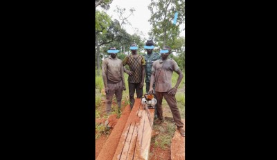 Côte d'Ivoire : Deux scieurs pris en flagrant délit de sciage à façon condamnés à une peine privative de 8 mois de prison ferme et une amende de 2.000.000 chacun