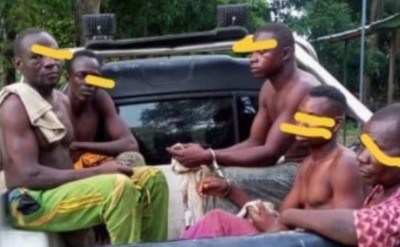 Côte d'Ivoire : Deux ans de prison ferme et de 25 millions FCFA de dommages et intérêts à l'encontre de 05 Burkinabés destructeurs des forêts classées