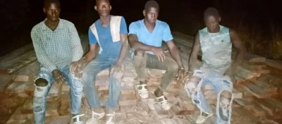 Côte d'Ivoire : Deux mois de prison ferme et 20 millions d'amende pour des scieurs à façon à Bouaké