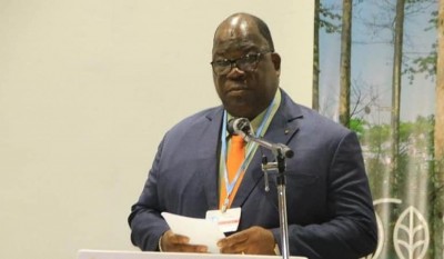 Côte d'Ivoire : COP27 à Charm el Cheikh en Égypte, Laurent Tchagba relève ce que son pays doit relever pour préserver, réhabiliter et étendre les forêts