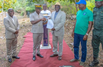 Côte d'Ivoire : Pour la construction d'une ligné électrique reliant le  pays et des voisins une entreprise finance  la mise en place d'une parcelle de 30ha dans une forêt classée