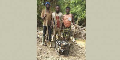 Côte d'Ivoire : La justice condamne trois orpailleurs clandestins à un an de prison ferme