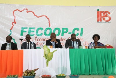 Côte d'Ivoire :    Daloa, les coopératives agricoles réfléchissent sur « l'amélioration des conditions de vie et de travail des agriculteurs »