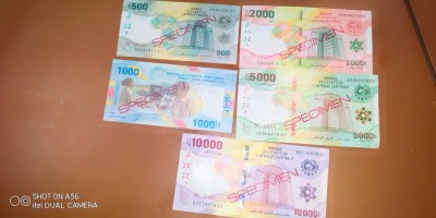 Cameroun : La Beac met en circulation les nouveaux billets de banque