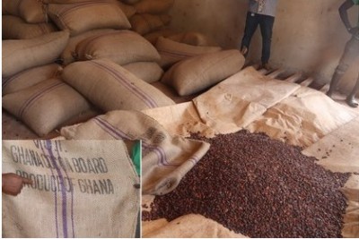 Côte d'Ivoire : Abengourou, plus de 35  tonnes fèves de cacao en provenance du Ghana saisies, deux personnes interpellées