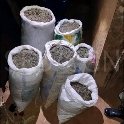 Cameroun : Plus de 500 kg de stupéfiants saisis par la gendarmerie nationale