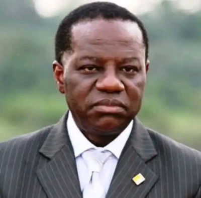 Cameroun : J. Fame Ndongo, 