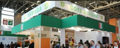 Côte d'Ivoire :    SIA 2023, la délégation ivoirienne animera une conférence le 2 mars sur «l'agriculture ivoirienne face aux crises internes et externes : perspectives pour relever le défi... »
