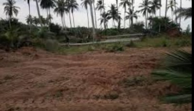 Côte d'Ivoire : Taboth, des propriétaires terriens et planteurs portent plainte devant le Procureur du Pôle économique et financier contre le chef de village