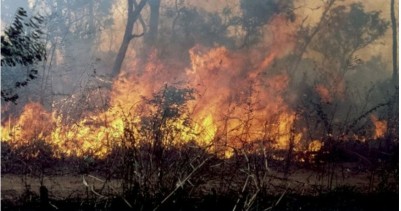Côte d'Ivoire : Dimbokro, un feu de brousse déclaré emporte la vie d'un paysan dans son champ