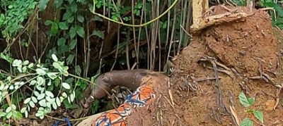 Côte d'Ivoire : Divo, le conducteur de moto-tricycle porté disparu depuis des jours retrouvé mort ligoté