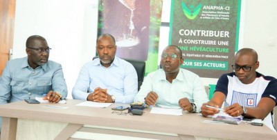 Côte d'Ivoire :   Filière Hévéa, des producteurs accusent de ne pas appliquer les décisions de l'État en colère menacent de prendre la rue