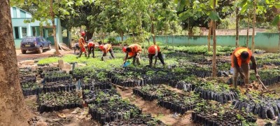 Côte d'Ivoire :    Tchologo, le Gouvernement annonce des mesures de protection des 12 forêts classées d'un montant de 2 milliards